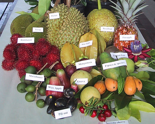 FRUTAS TROPICALES