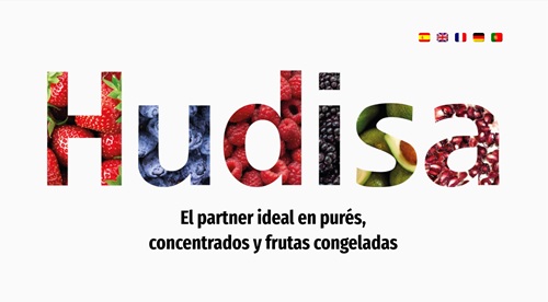 HUDISA