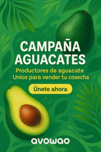 avowao